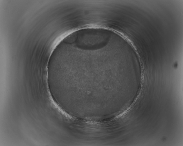 X0000116101239200912071252