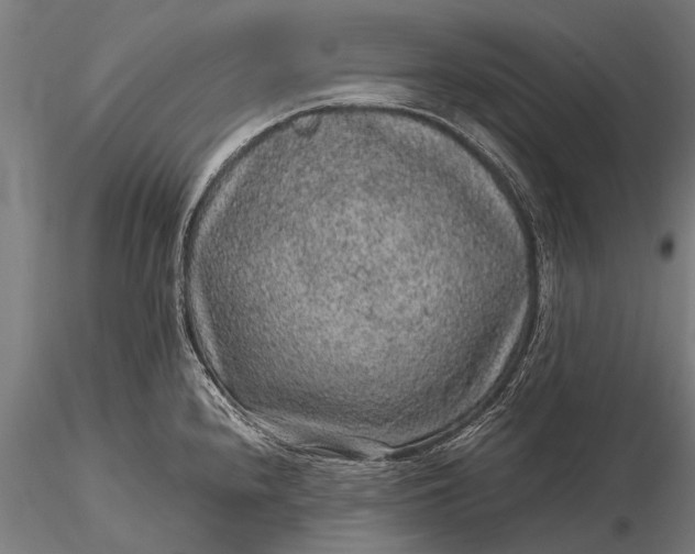 X0000116101240200912071252