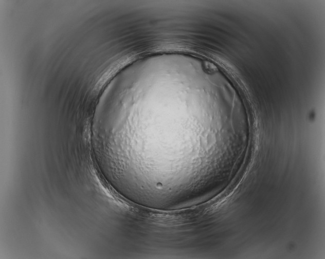 X0000116101241200912071252