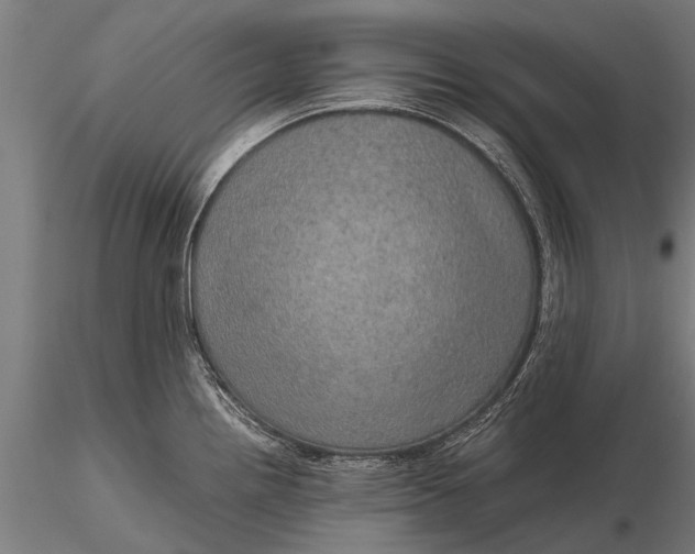 X0000116101242200912071252