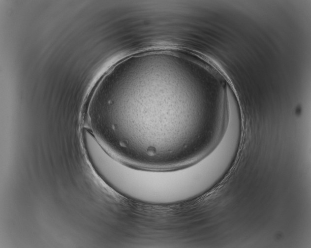 X0000116101243200912071252