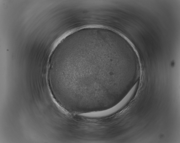 X0000116101245200912071252