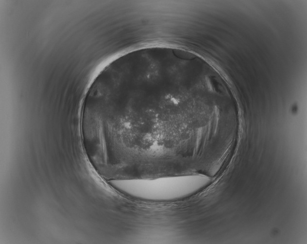 X0000116101246200912071252