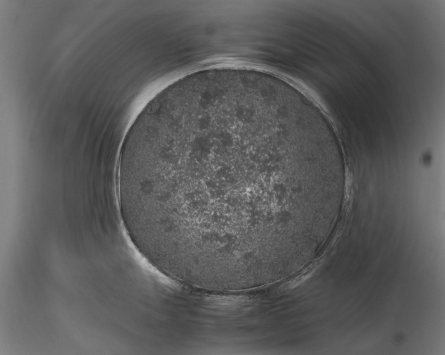 X0000116101247200912071252