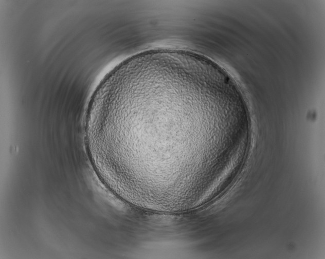 X0000116101248200912071252