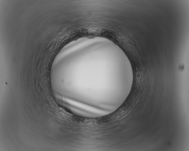 X0000116101249200912071251