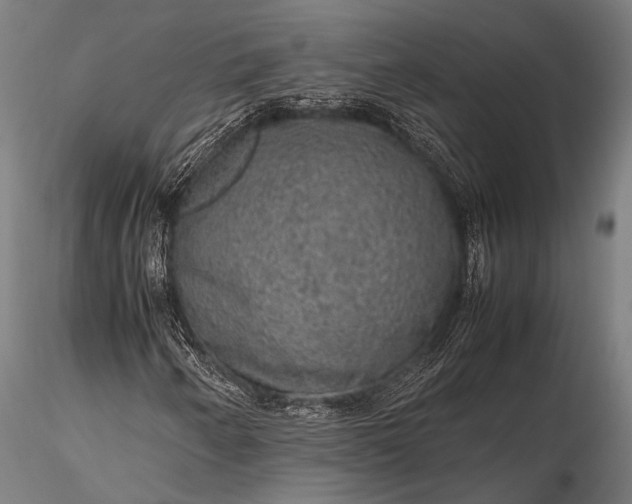 X0000116101250200912071251