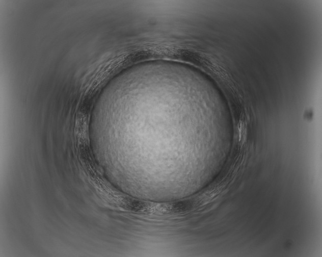 X0000116101251200912071251