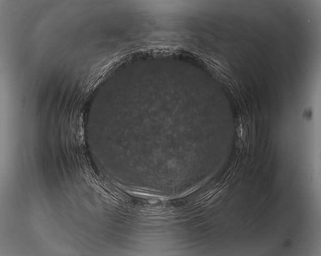 X0000116101252200912071251