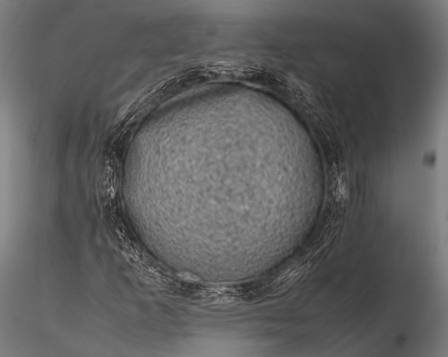 X0000116101253200912071251