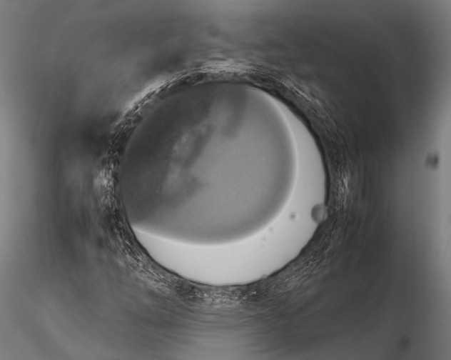 X0000116101254200912071251