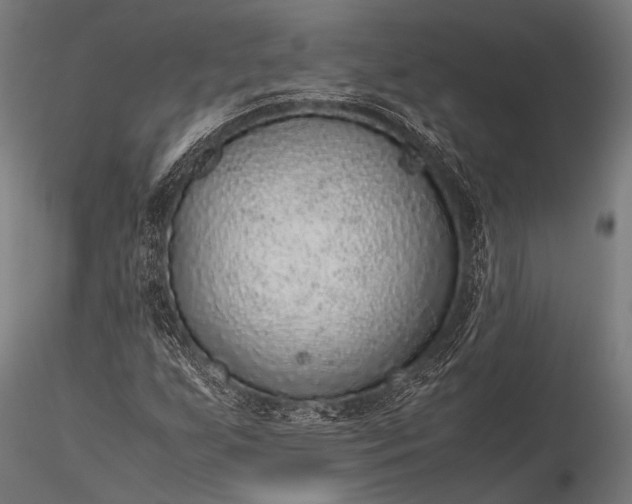 X0000116101255200912071251