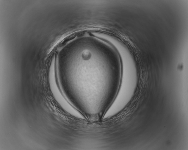 X0000116101256200912071251