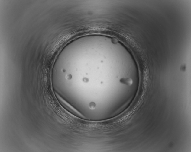 X0000116101257200912071251