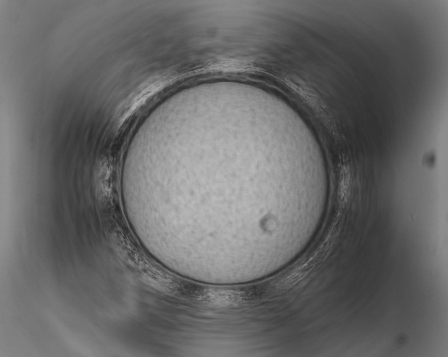 X0000116101258200912071251