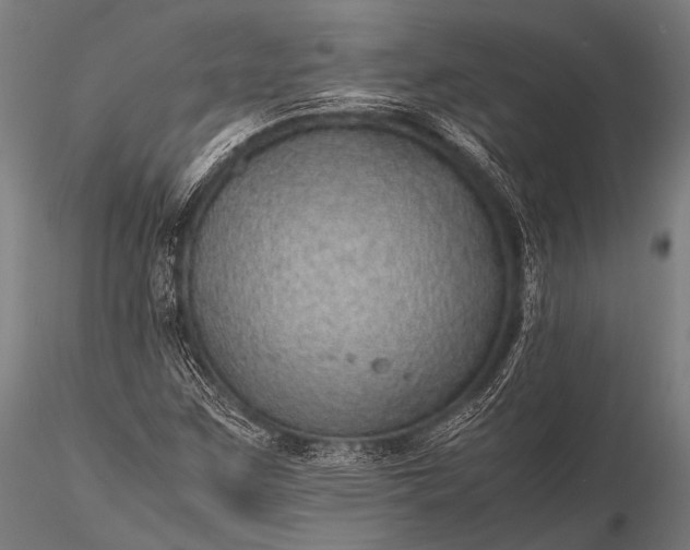 X0000116101259200912071251