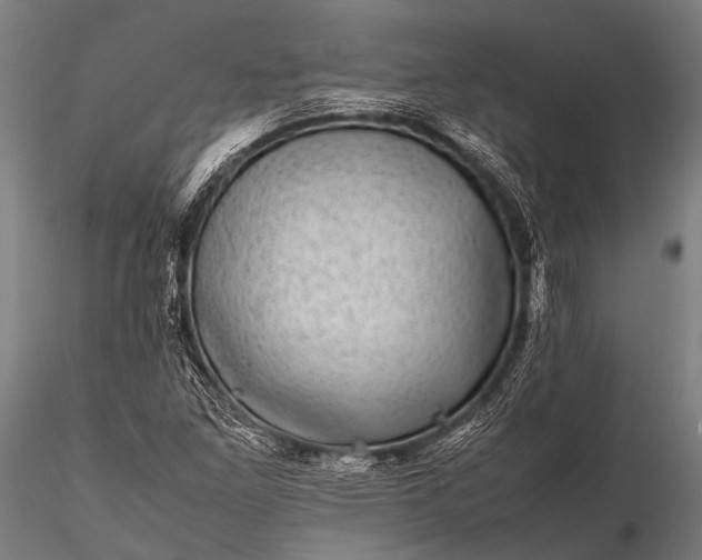 X0000116101261200912071251