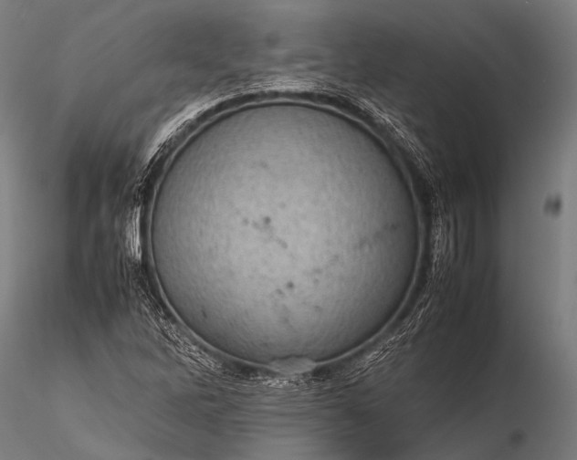 X0000116101262200912071251