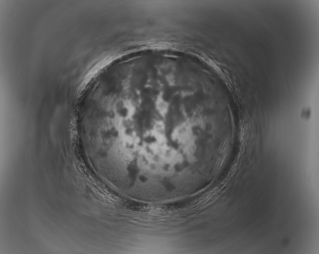 X0000116101263200912071251