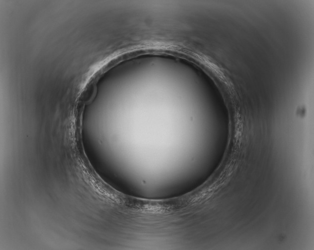 X0000116101264200912071251