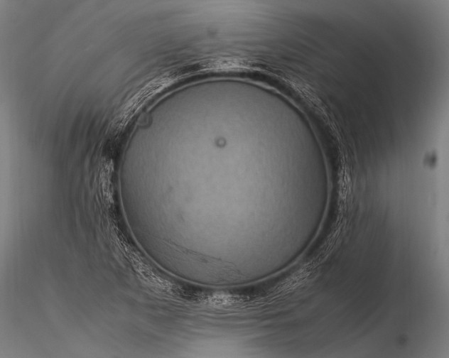 X0000116101265200912071251