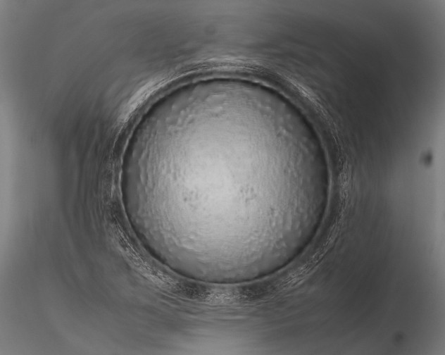 X0000116101267200912071251