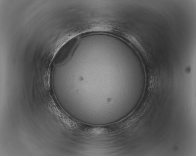 X0000116101268200912071251