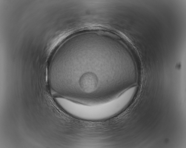 X0000116101269200912071251