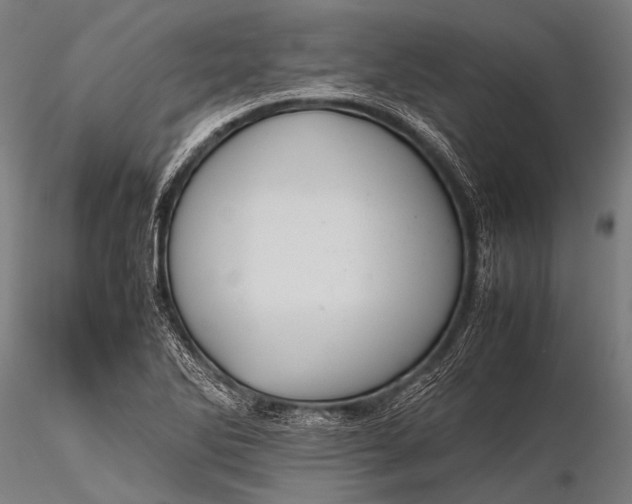 X0000116101270200912071251