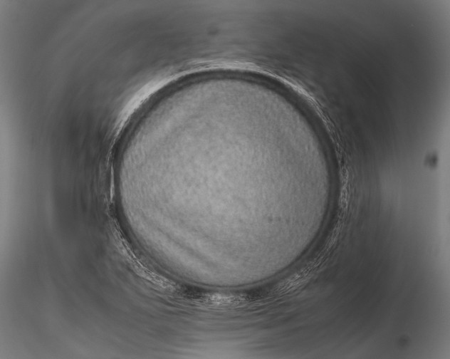 X0000116101271200912071251