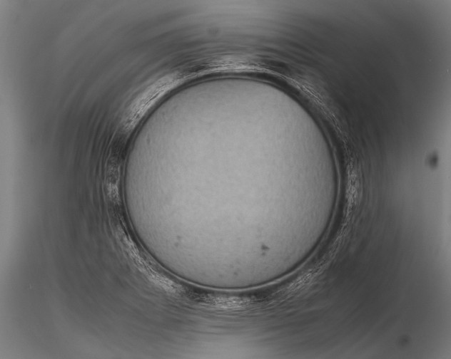 X0000116101273200912071251