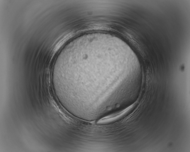 X0000116101274200912071251