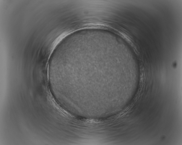 X0000116101275200912071251