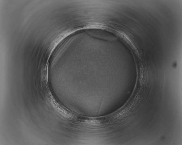 X0000116101276200912071251