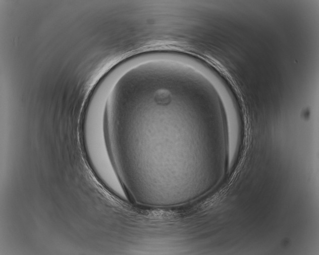 X0000116101277200912071251