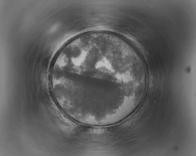 X0000116101278200912071251