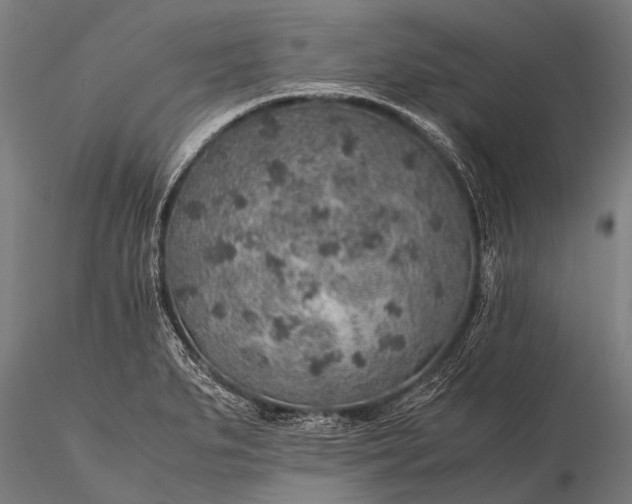 X0000116101279200912071251