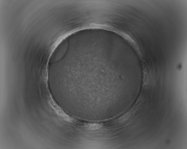 X0000116101280200912071251