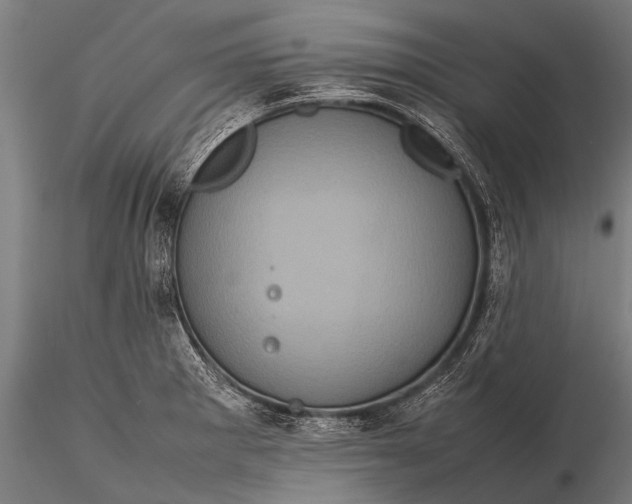 X0000116101281200912071251