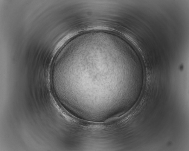 X0000116101282200912071251