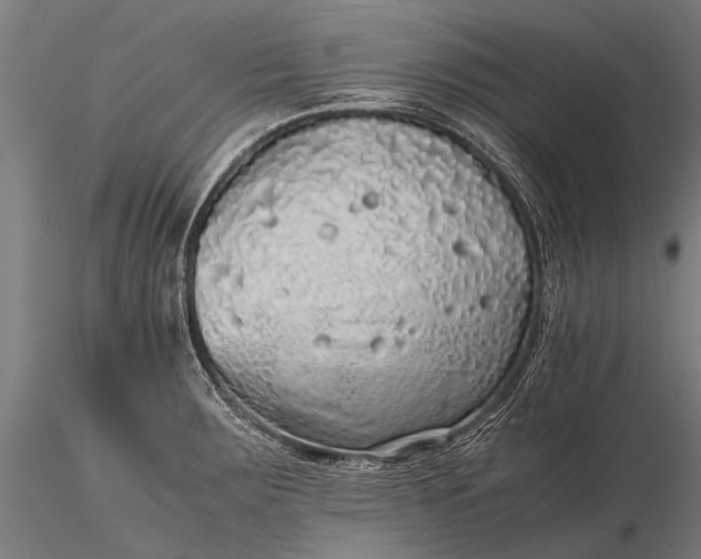 X0000116101283200912071251