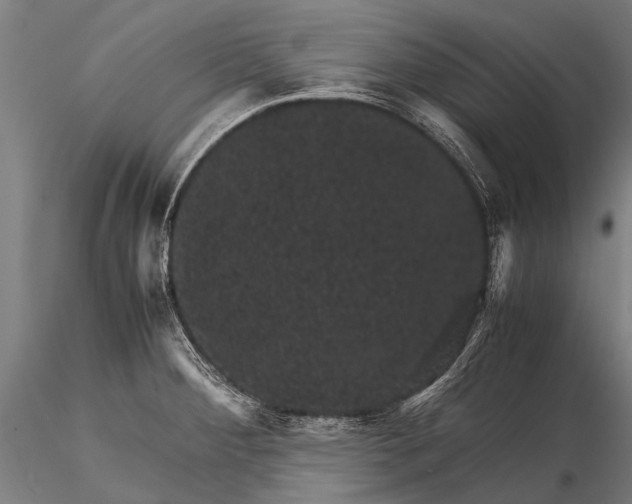 X0000116101284200912071251