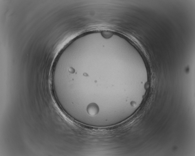 X0000116101285200912071251