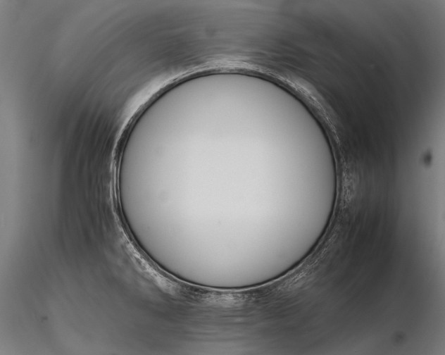 X0000116101286200912071251