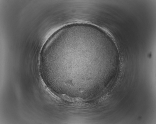 X0000116101287200912071251