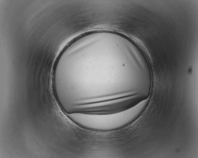 X0000116101288200912071251