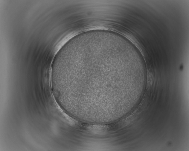 X0000116101290200912071251