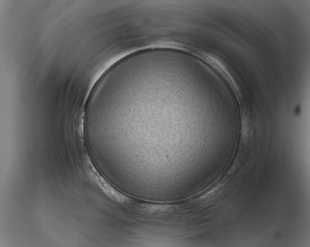 X0000116101292200912071250