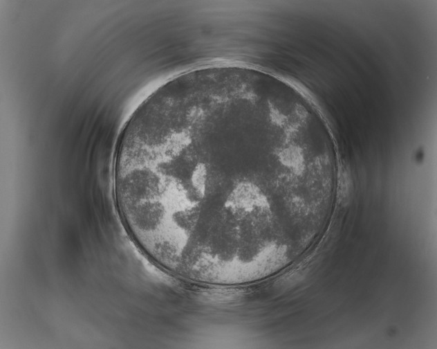 X0000116101294200912071250