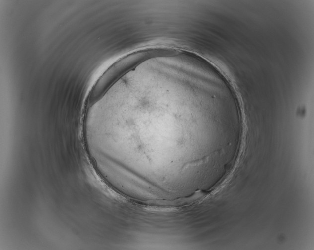 X0000116101296200912071250